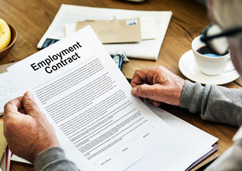 Introduction to employment and contracts – skills series